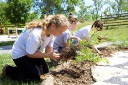 Drei Jugendliche knien auf dem Boden in einem Garten und pflanzen junge Pflanzen in ein Beet. Sie tragen helle T-Shirts und arbeiten konzentriert bei sonnigem Wetter. Im Hintergrund sind Bäume und ein Holzzaun zu sehen.
